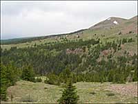 Bartlett Trail in National Wilderness Area