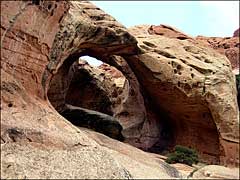 Upper Muley Canyon Twist Arches
