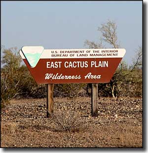 East Cactus Plain Wilderness Area