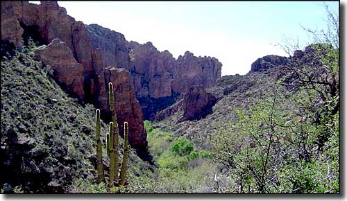 Redfield Canyon Wilderness