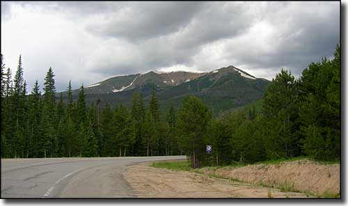 A view in Routt National Forest