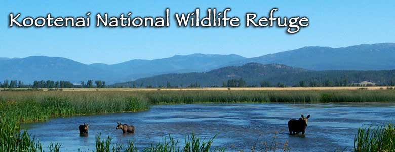 Kootenai National Wildlife Refuge