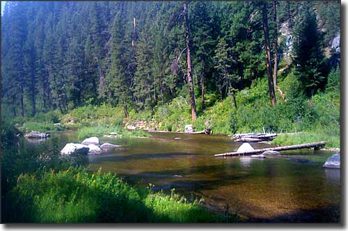 Middle Fork of the Payette River, just outside Crouch, Idaho