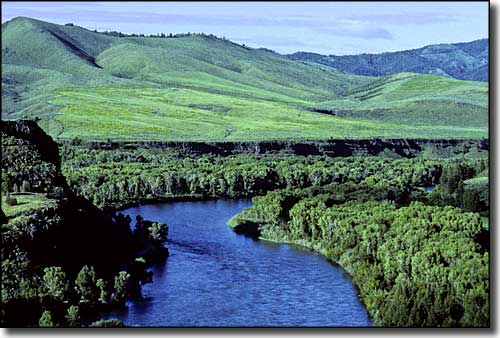 South Fork of the Snake River near Swan Valley