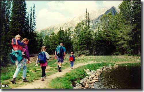 Hikers on the Beaverhead-Deerlodge National Forest in Montana
