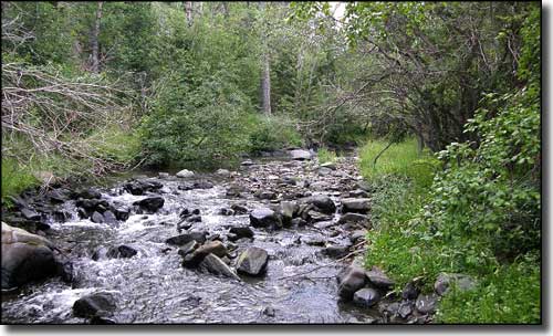 Highwood Creek, near Highwood, Montana