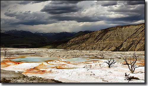 Mammoth Hot Springs. Part of Mammoth Hot Springs