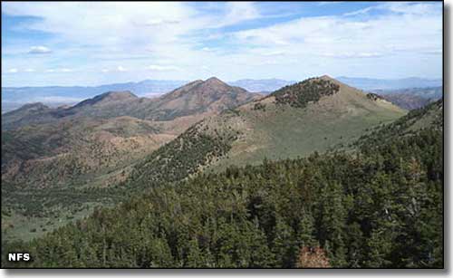 Red Mountain Wilderness, Humboldt-Toiyabe National Forest, Nevada