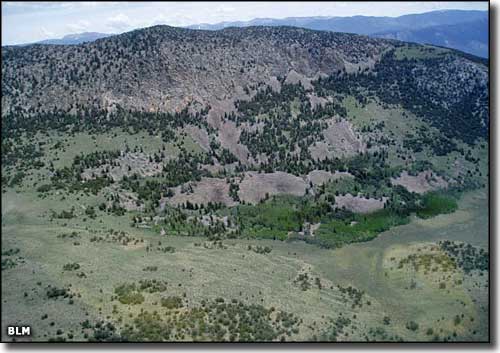 Bristlecone Wilderness, Nevada