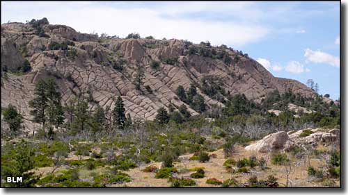 Parsnip Peak Wilderness, Nevada