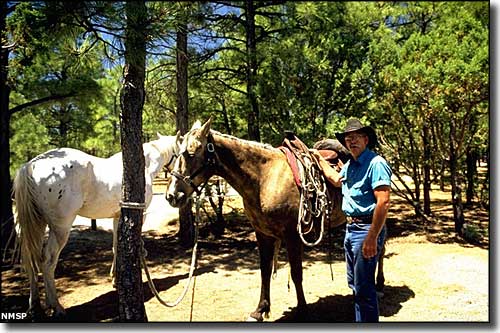 The eastern flanks of the Manzano Mountains are excellent for horseback riding