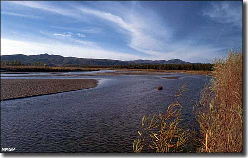 The Rio Grande flows across Mesilla Valley Bosque