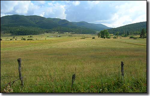 meadows in the mountains
