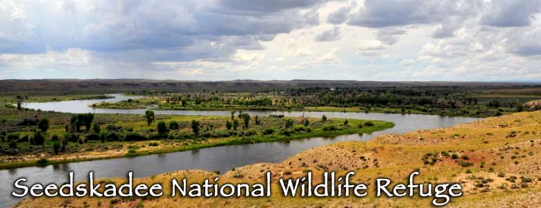 Seedskadee National Wildlife Refuge