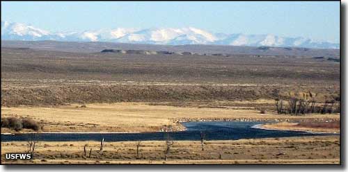 Seedskadee National Wildlife Refuge, Wyoming